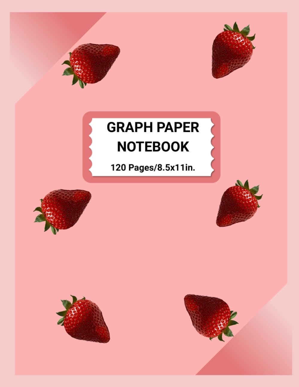 GRAPH PAPER NOTEBOOK baixar livro de graça