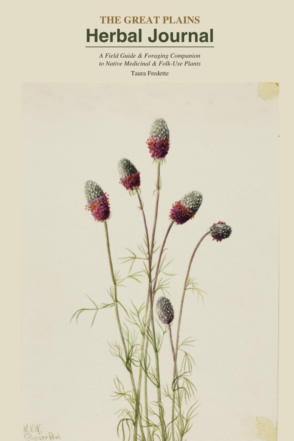 The Great Plains Herbal Journal: A foraging & field guide to Nebraska, Kansas & South Dakota baixar o livro de graça