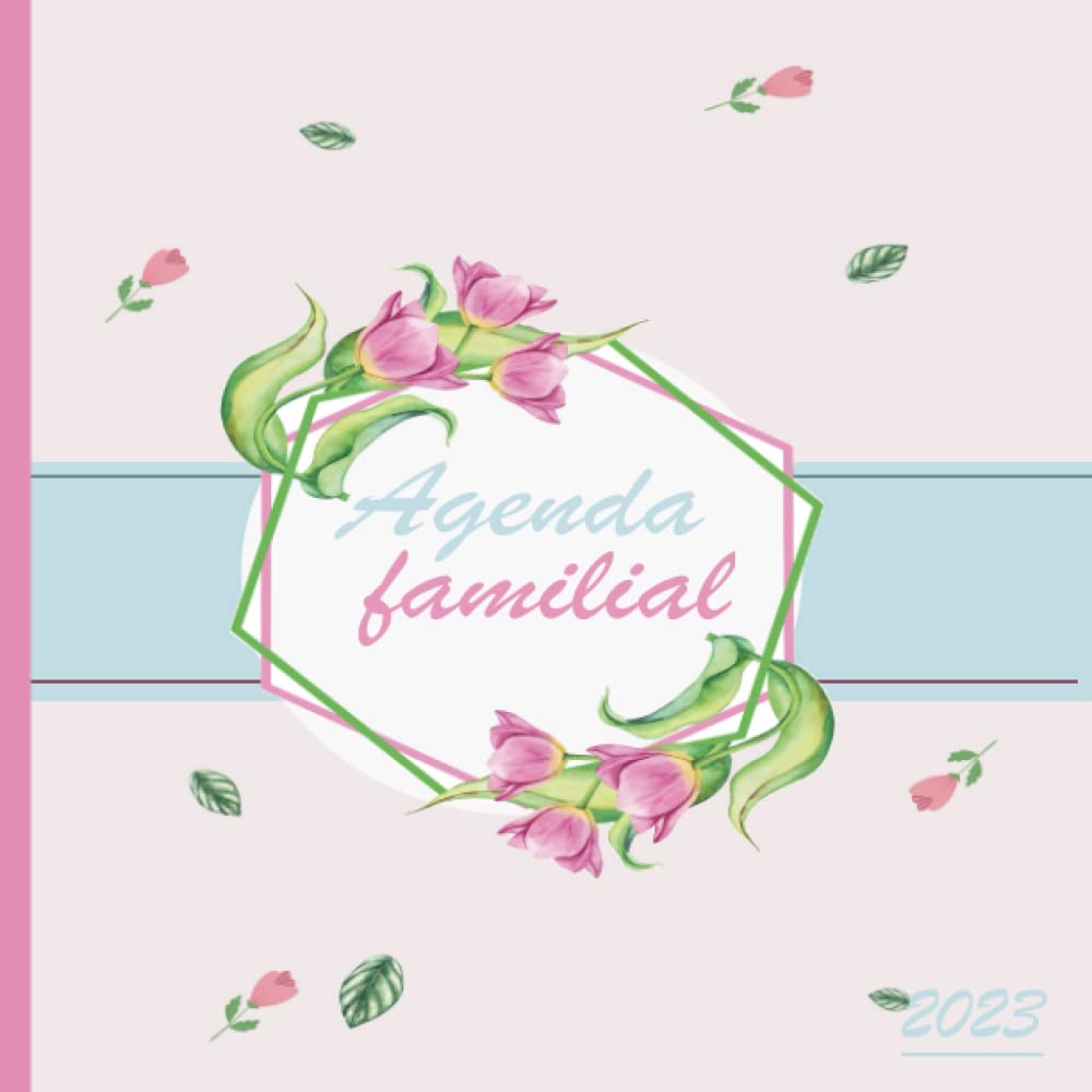 Agenda Familial 2023: Calendrier Ultra Simple pour une Famille Organisée ! (de jan. 2023 à déc. 2023): agenda d'organisation (French Edition) baixar o livro de graça