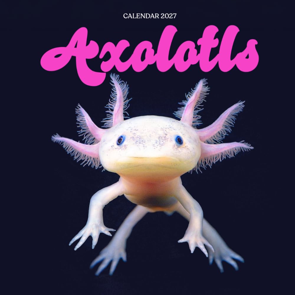 Axolotls Calendar 2027: Aquatic Amphibians and Nature Scenes baixar livro de graça