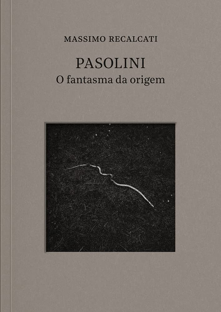 Pasolini: o fantasma da origem baixar o livro de graça