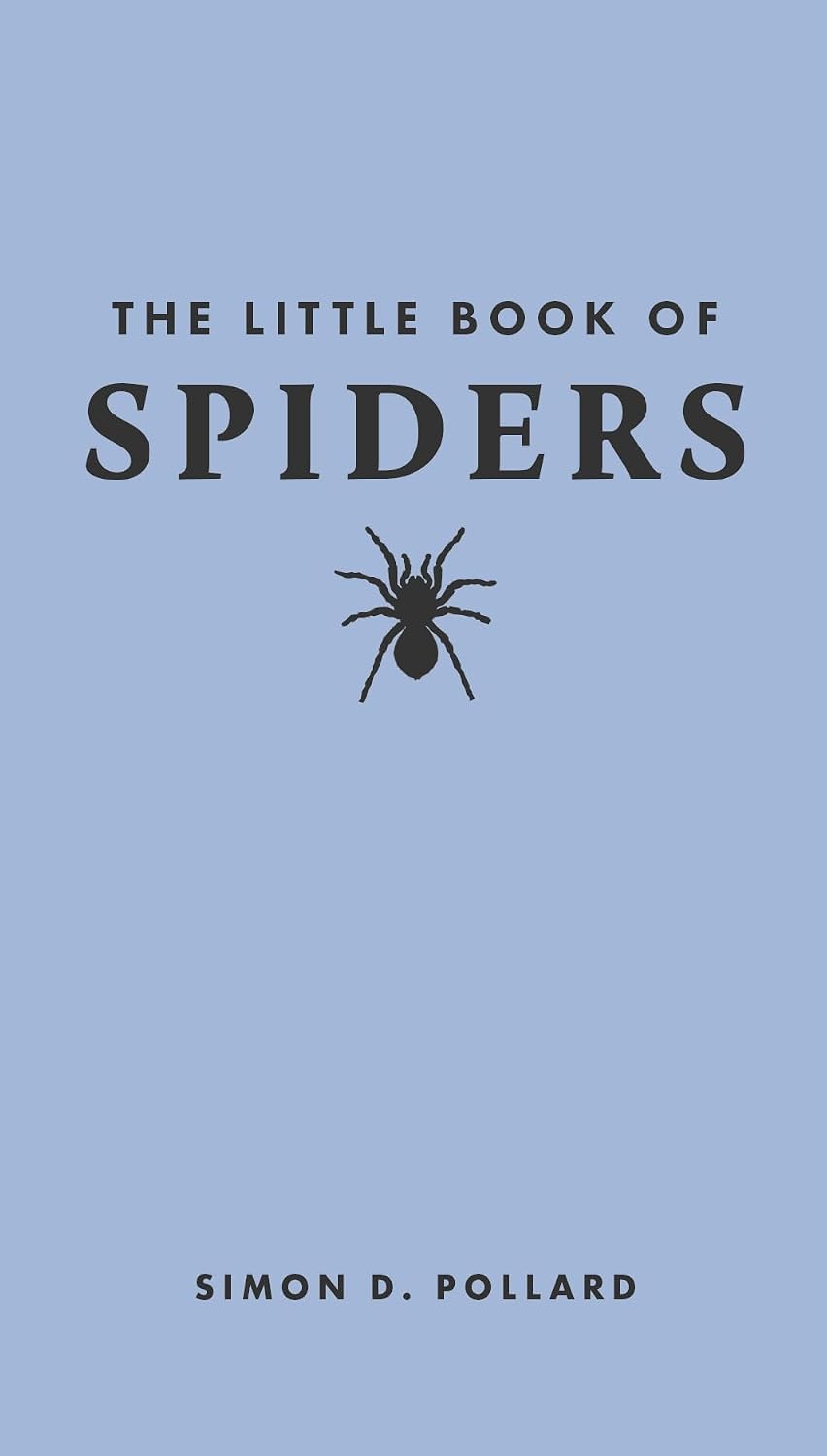ler totalmente The Little Book of Spiders: 3