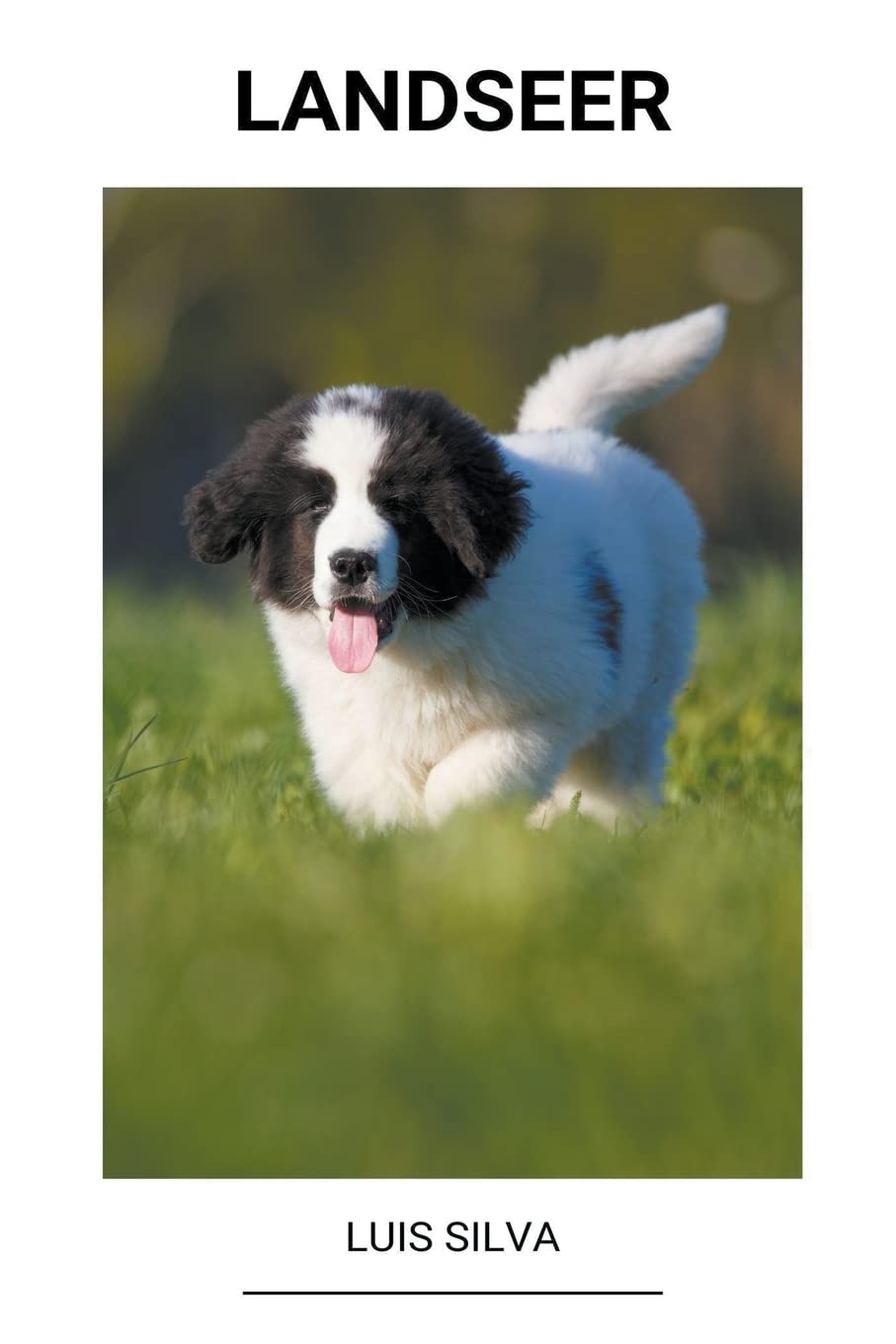 Landseer baixar livro de graça