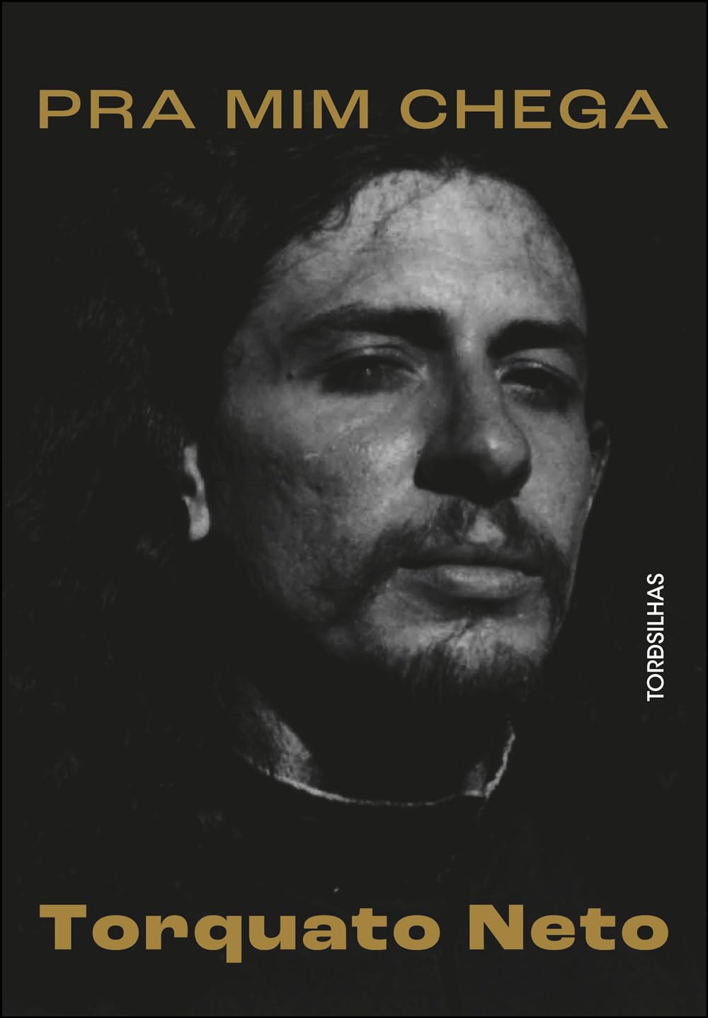 ler totalmente Pra mim chega: a biografia de Torquato Neto
