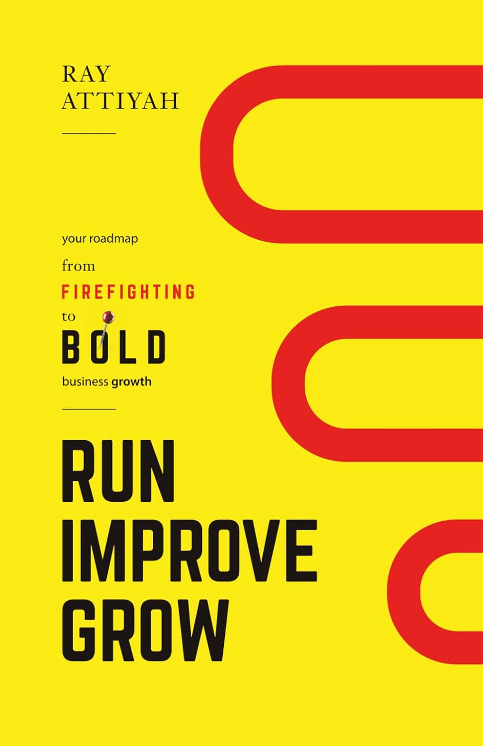 capítulo por capítulo baixar Run Improve Grow: Your Roadmap from Firefighting to Bold Business Growth