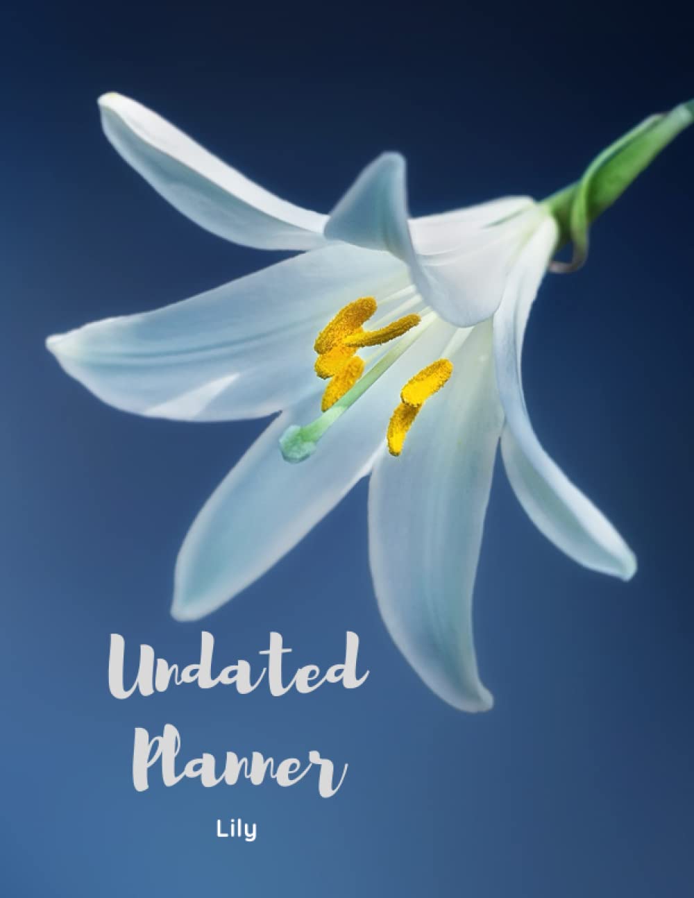 Lily Undated Planner: The Lily Design with 2 years plans and 24 months with Flexible Glossy Cover baixar livro de graça