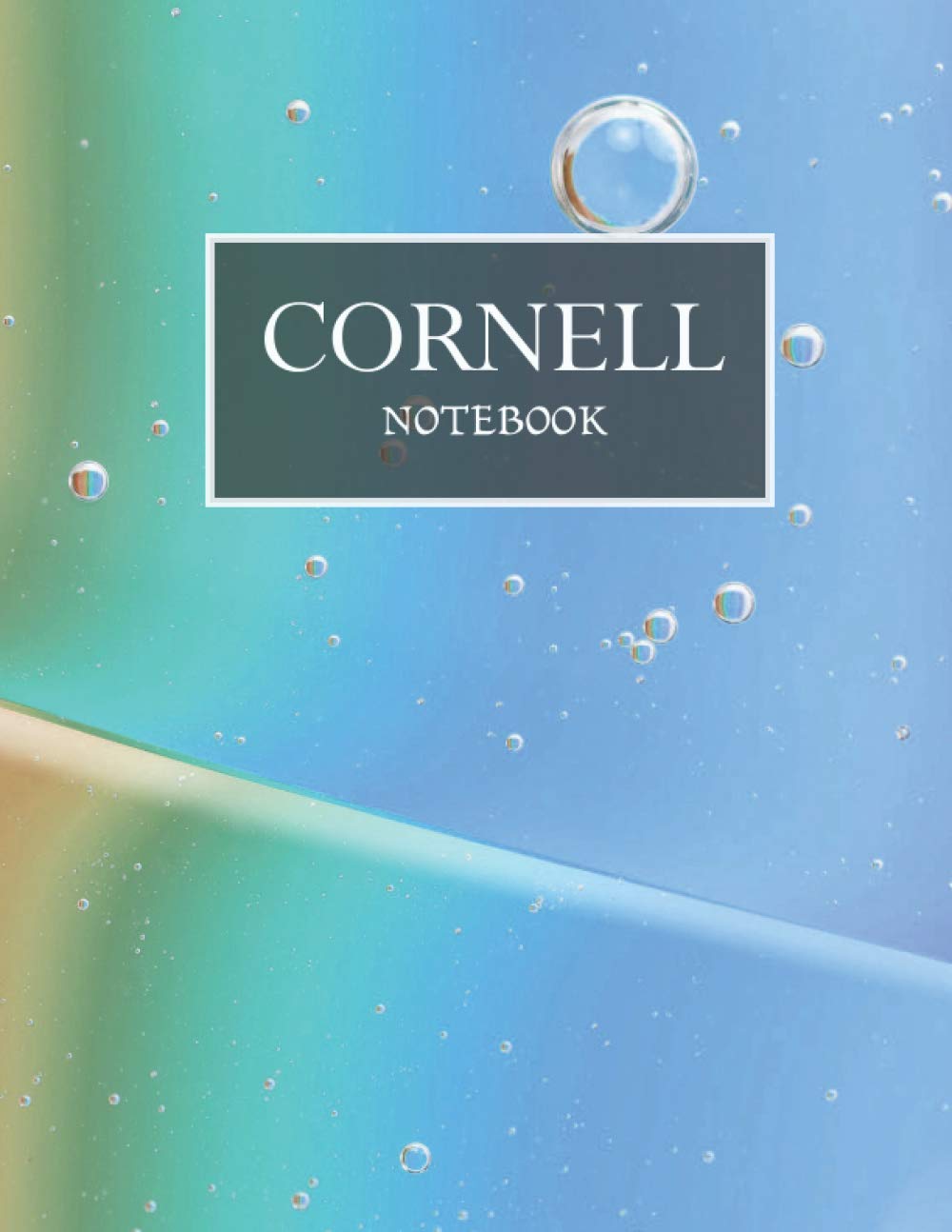 ler totalmente Cornell Notebook: Lined Paper Notebooks 120 Pages Cornell School and University Cornell Note Paper Notebook Students