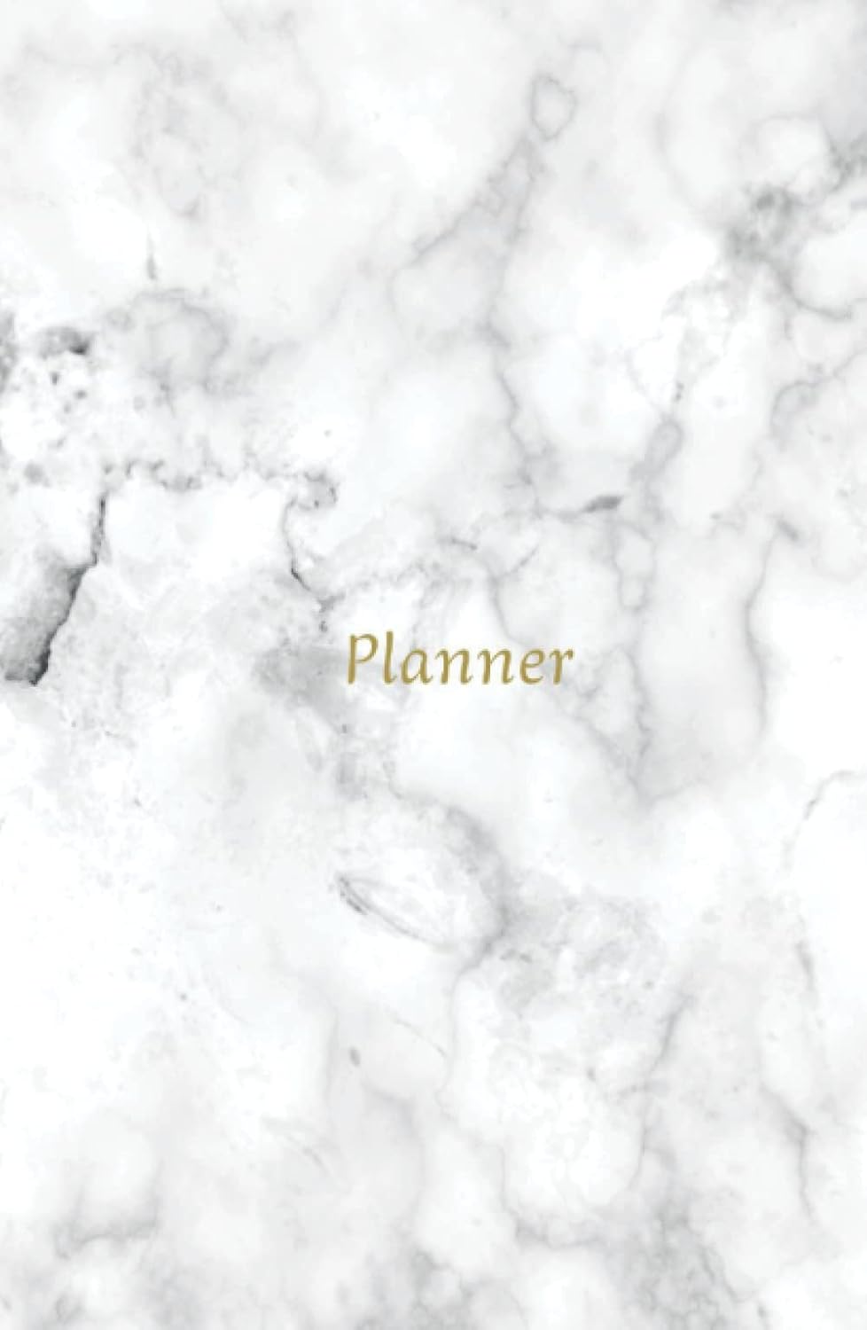 ler totalmente Planner: Planner/agenda