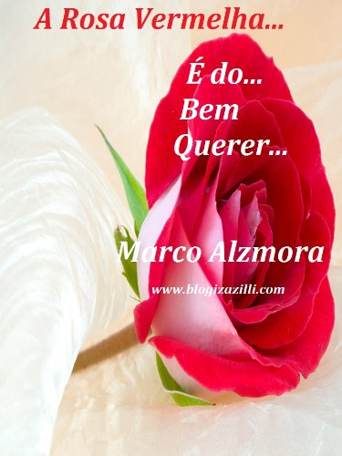 A Rosa Vermelha...