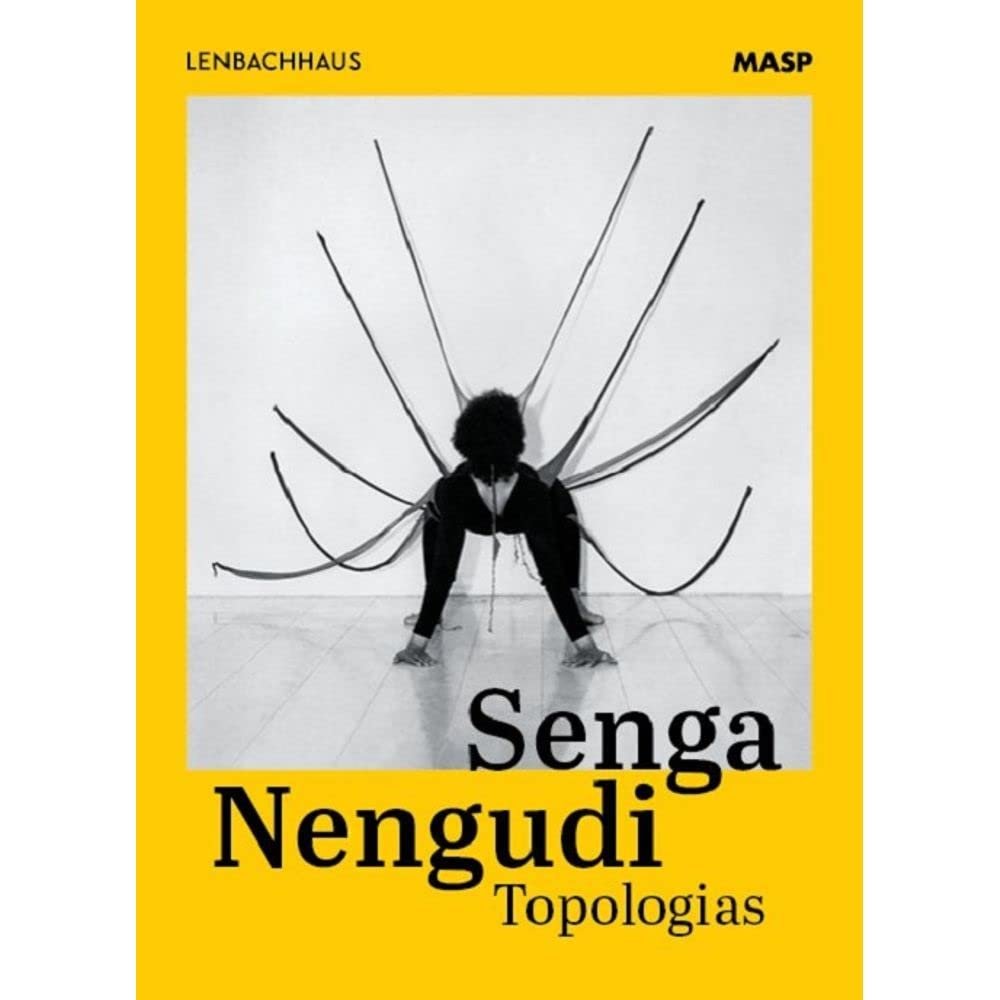 capítulo por capítulo baixar Senga Nengudi: topologias