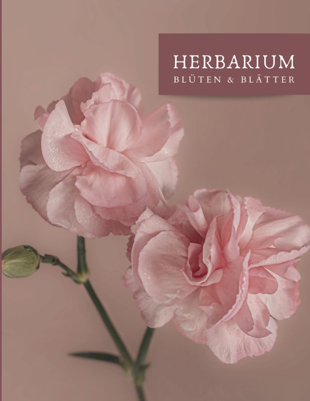 capítulo por capítulo baixar Herbarium - Blüten und Blätter: Notizbuch mit vorgefertigten Etiketten zur Dokumentation [DIN A4 / 8.5 x 11''] (German Edition)