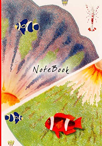 BARRIER REEF COMPOSITION NOTEBOOK 7 IN. X 10 IN. 50 SHEETS (100 PAGES) OF WIDE RULED LINED BLANK PAPER baixar livro de graça