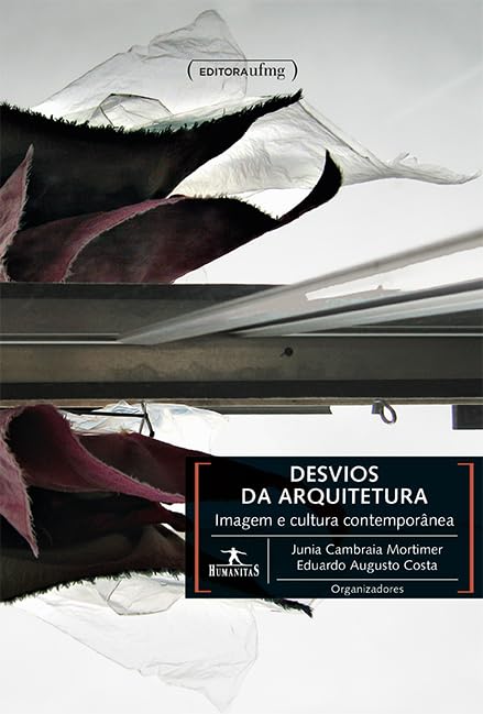 DESVIOS DA ARQUITETURA: IMAGEM E CULTURA CONTEMPORANEA