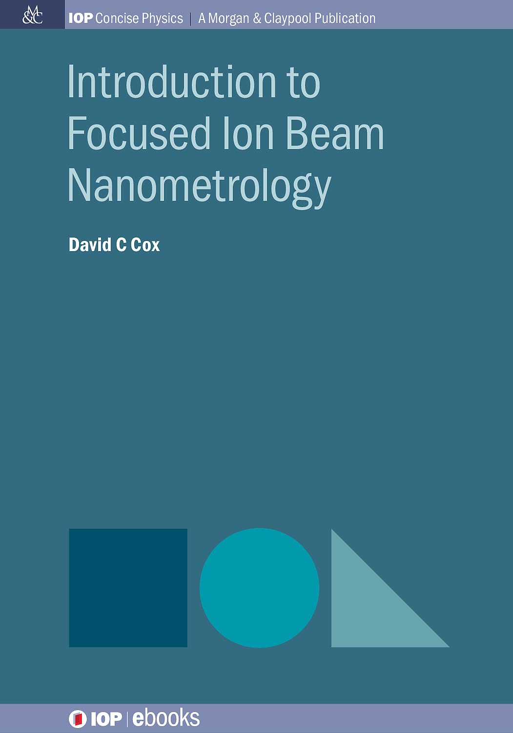 capítulo por capítulo baixar Introduction to Focused Ion Beam Nanometrology (English Edition)