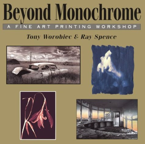 ler totalmente Beyond Monochrome: A Fine Art Printing Workshop