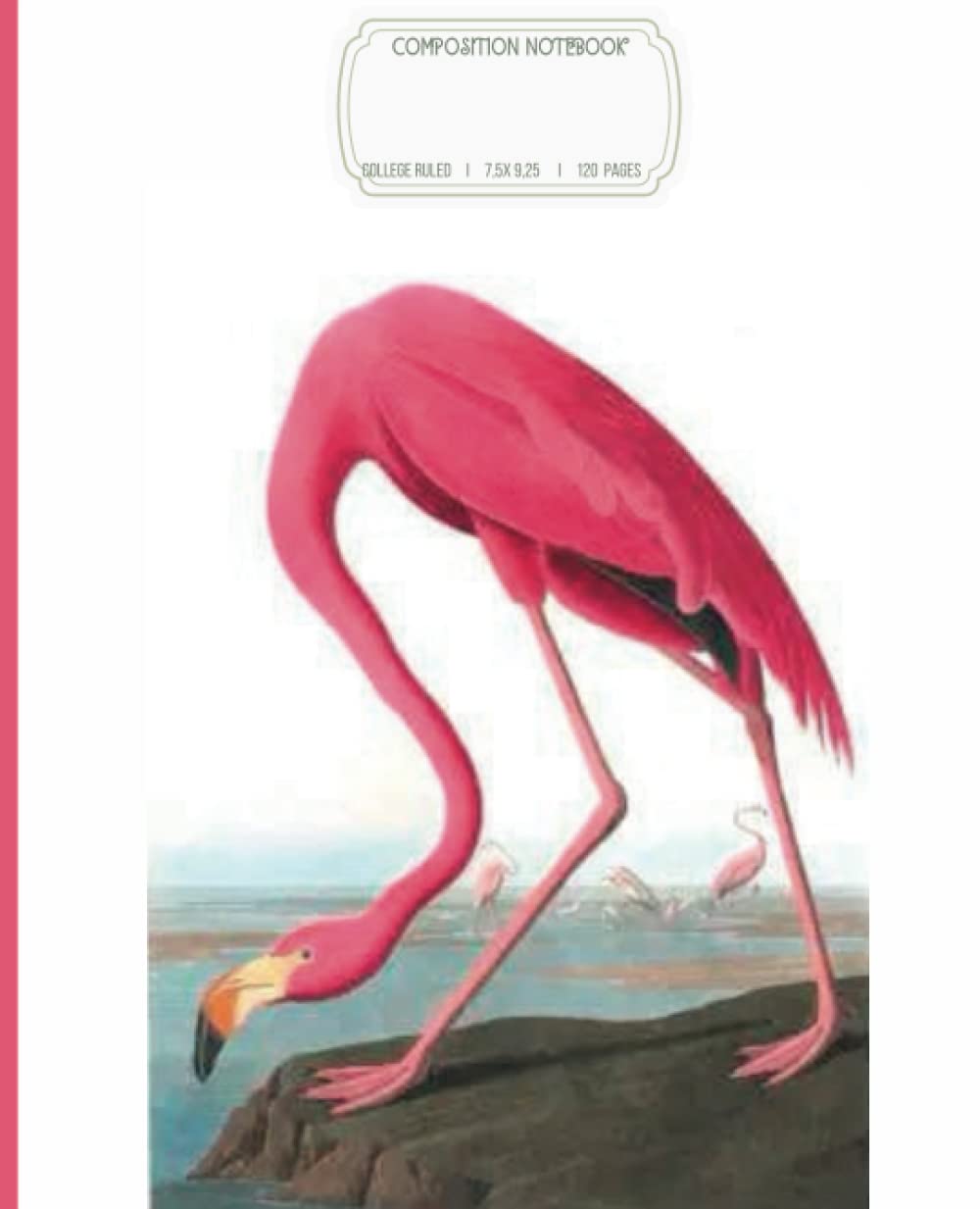 ler totalmente Composition Notebook Vintage Flamingo I Cute Aesthetic Journal For College, Students, School, Work, Office I Lined 120 Pages: Retro Stile Notebook
