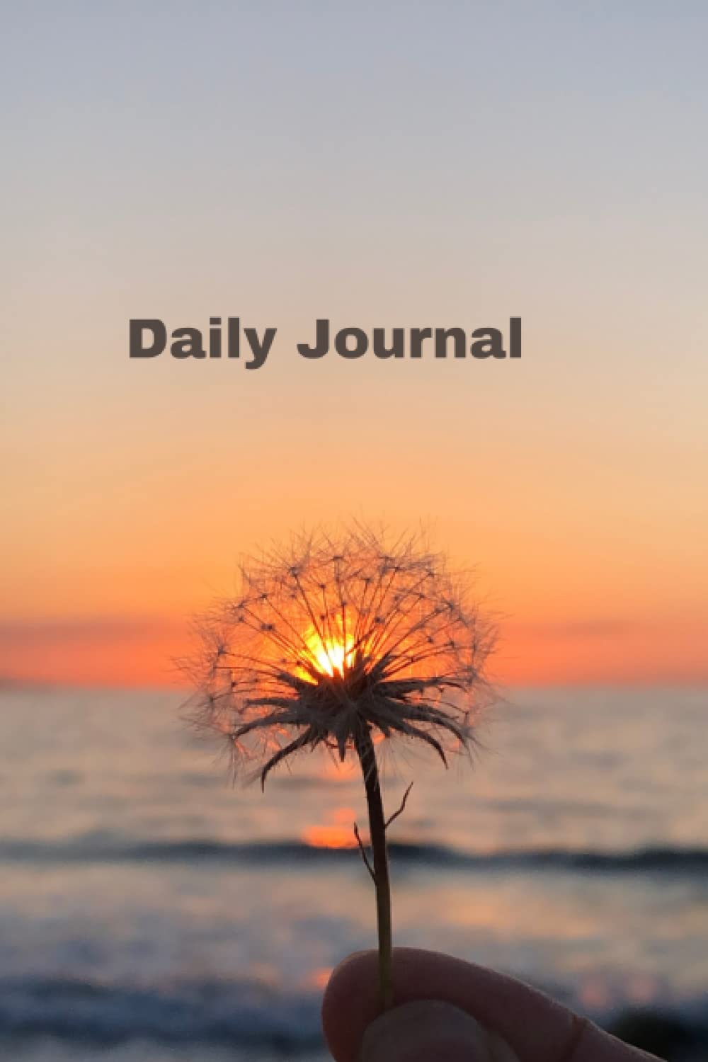 Jai Notes Note Books Journal diary 6x9 in. 160 Ruled Pages. baixar livro de graça