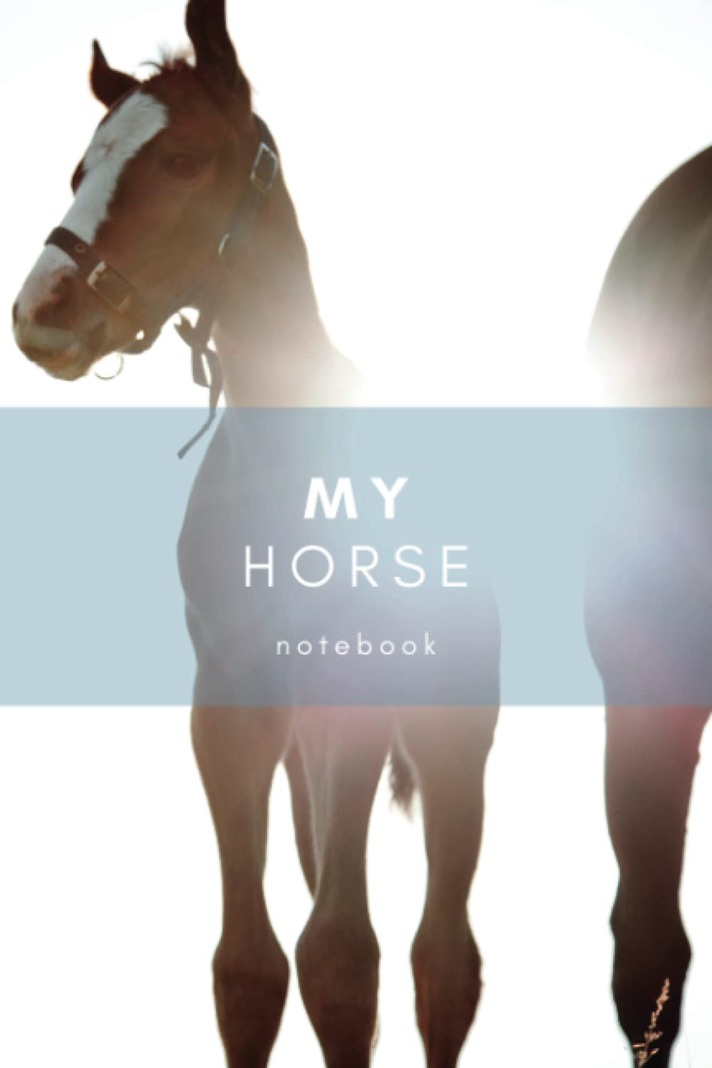 My Horse Notebook: A beautiful journal for horse health data and training | Nutrition, fitness and exercise diary for the horse | Horse care journal baixar o livro de graça