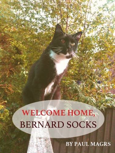 Welcome Home, Bernard Socks: 1 baixar livro de graça