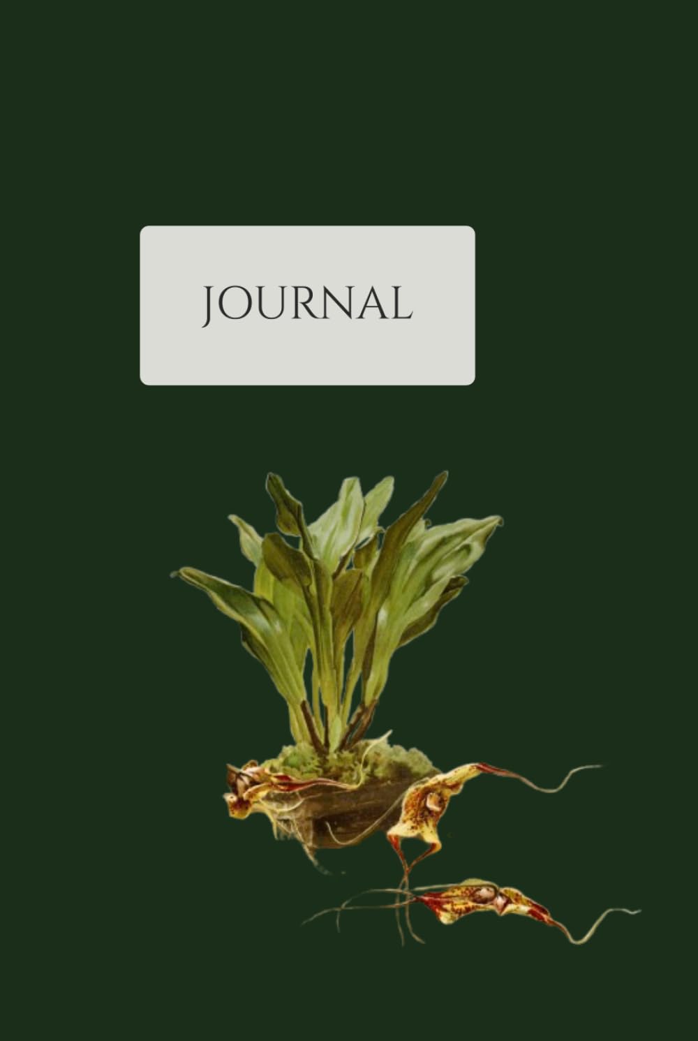 capítulo por capítulo baixar Vintage Botanical Journal: Volume 2 of 12 - Premium Hardcover Combined Lined & Sketch Notebook with Cream Paper, 150 Pages - Antique Victorian Floral Illustration Aesthetic Diary for Writing and Art