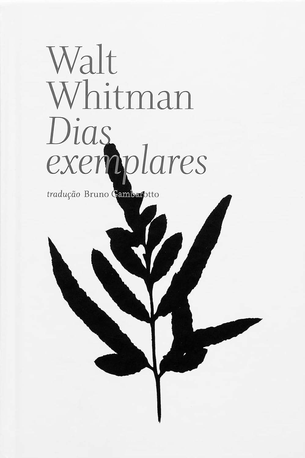 Dias exemplares baixar o livro de graça