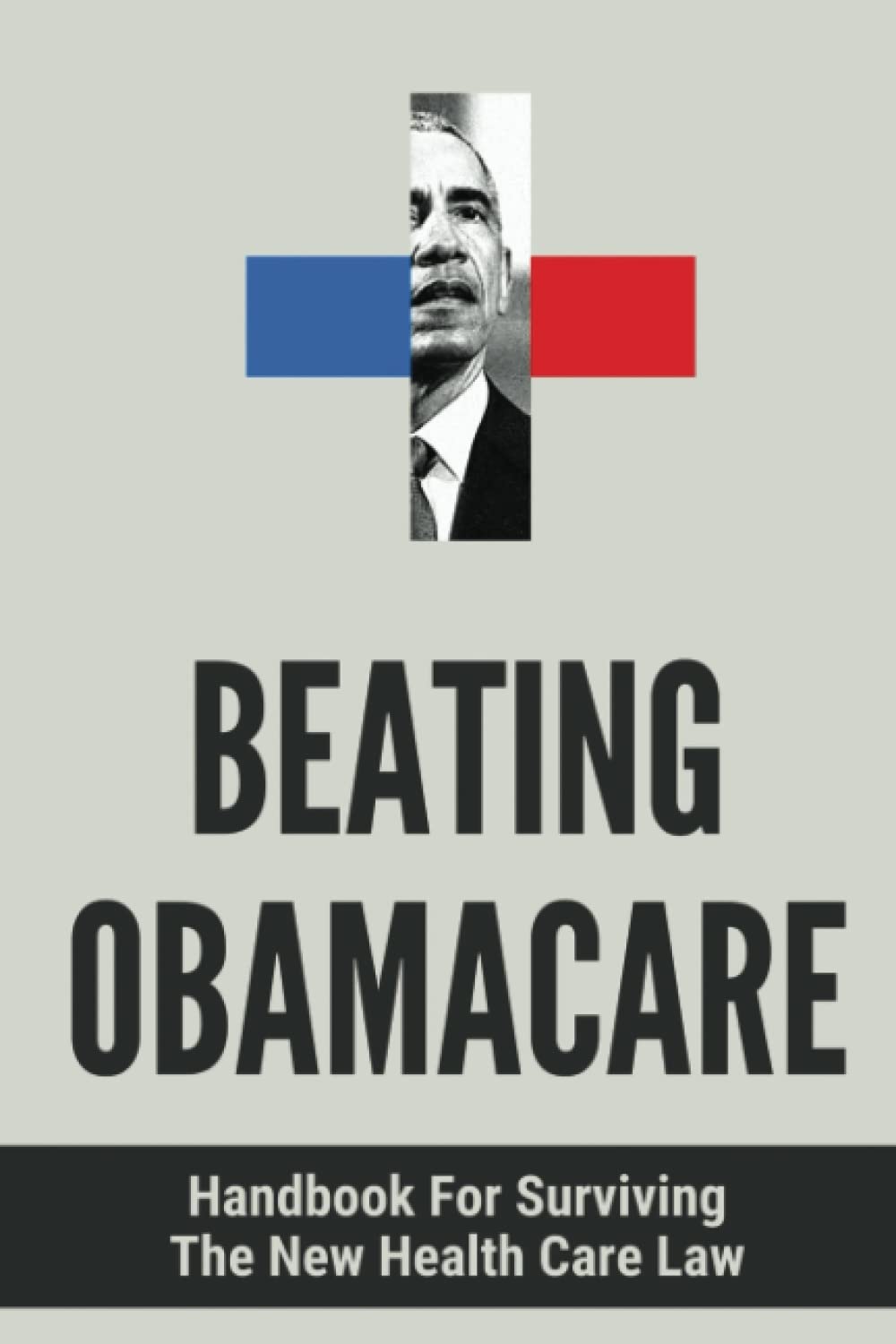 Beating Obamacare: Handbook For Surviving The New Health Care Law baixar livro de graça