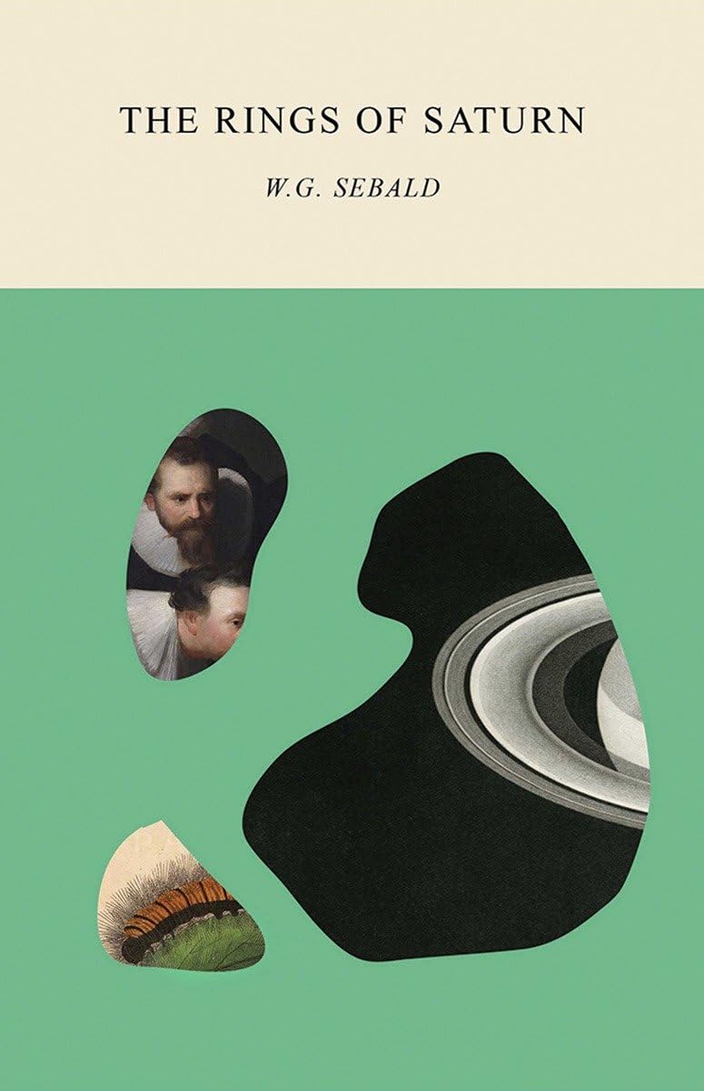 The Rings of Saturn baixar livro de graça
