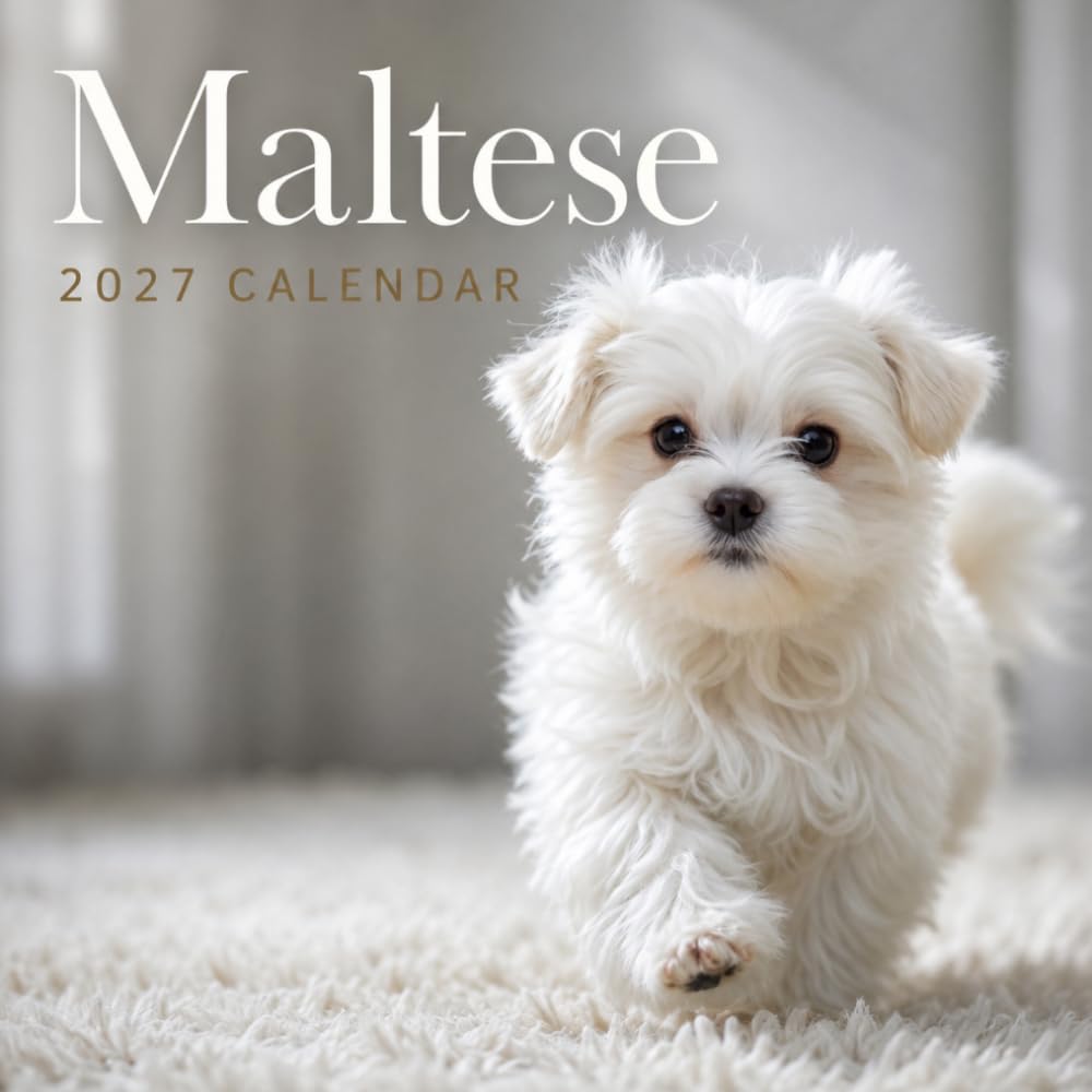 Maltese Calendar 2027: Maltese Dog Photography