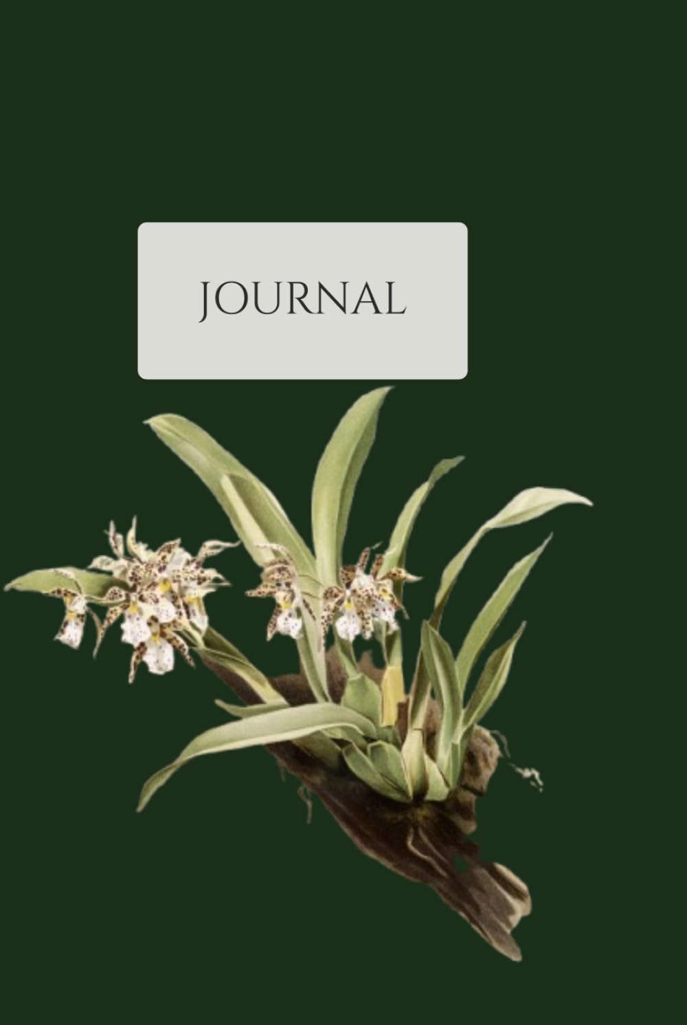 ler totalmente Vintage Botanical Journal: Volume 1 of 12 - Premium Hardcover Combined Lined & Sketch Notebook with Cream Paper, 150 Pages - Antique Victorian Floral Illustration Aesthetic Diary for Writing and Art