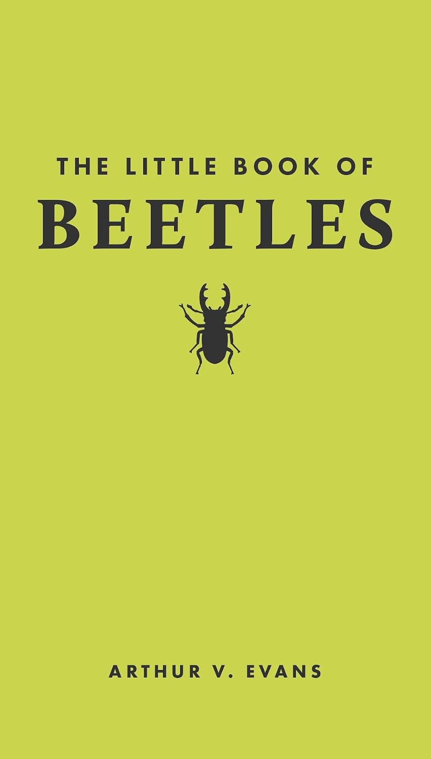 The Little Book of Beetles: 2 baixar livro de graça