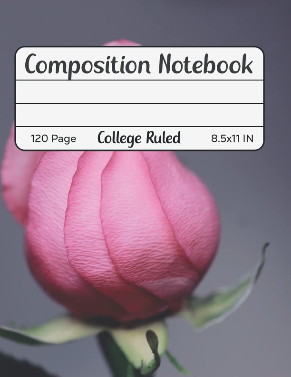 Composition Notebook College Ruled: composition notebook for boys and girls baixar o livro de graça