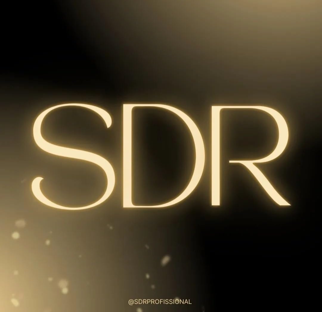 SDR Profissional: Seu guia para se tornar o melhor SDR do mercado baixar livro de graça