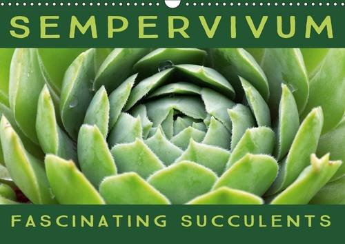 Sempervivum Fascinating Succulents 2017: Sempervivum, 12 Wonderful Portraits of the Fascinating Succulents baixar o livro de graça