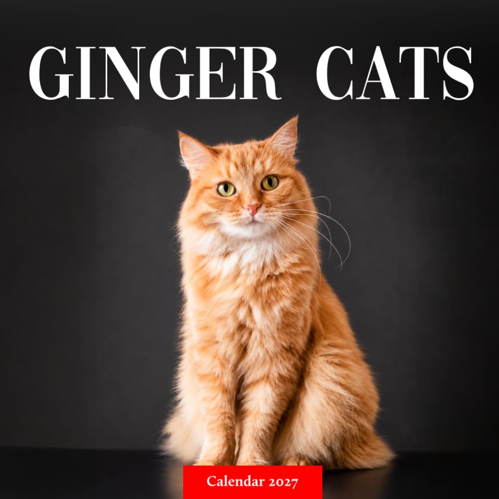 capítulo por capítulo baixar Ginger Cats Calendar 2027: Orange Cat Photography