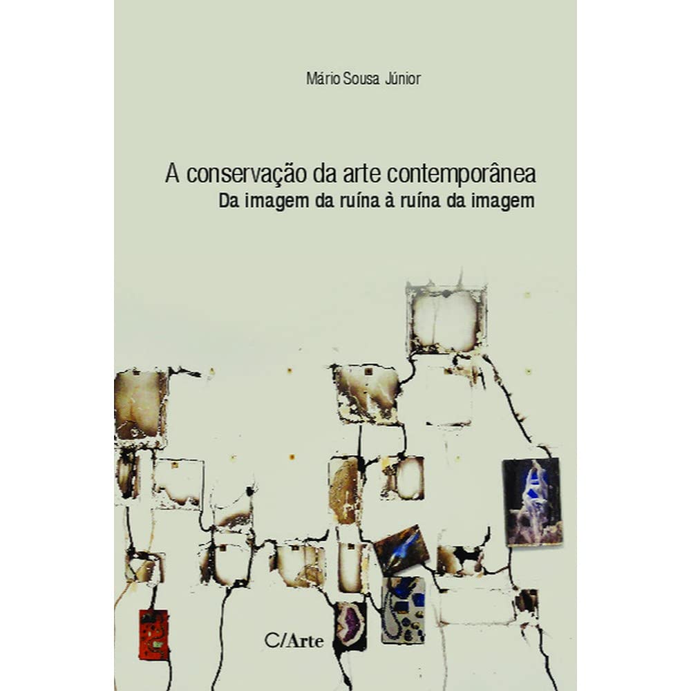 A Conservação da Arte Contemporânea: da Imagem da Ruína à Ruína da Imagem