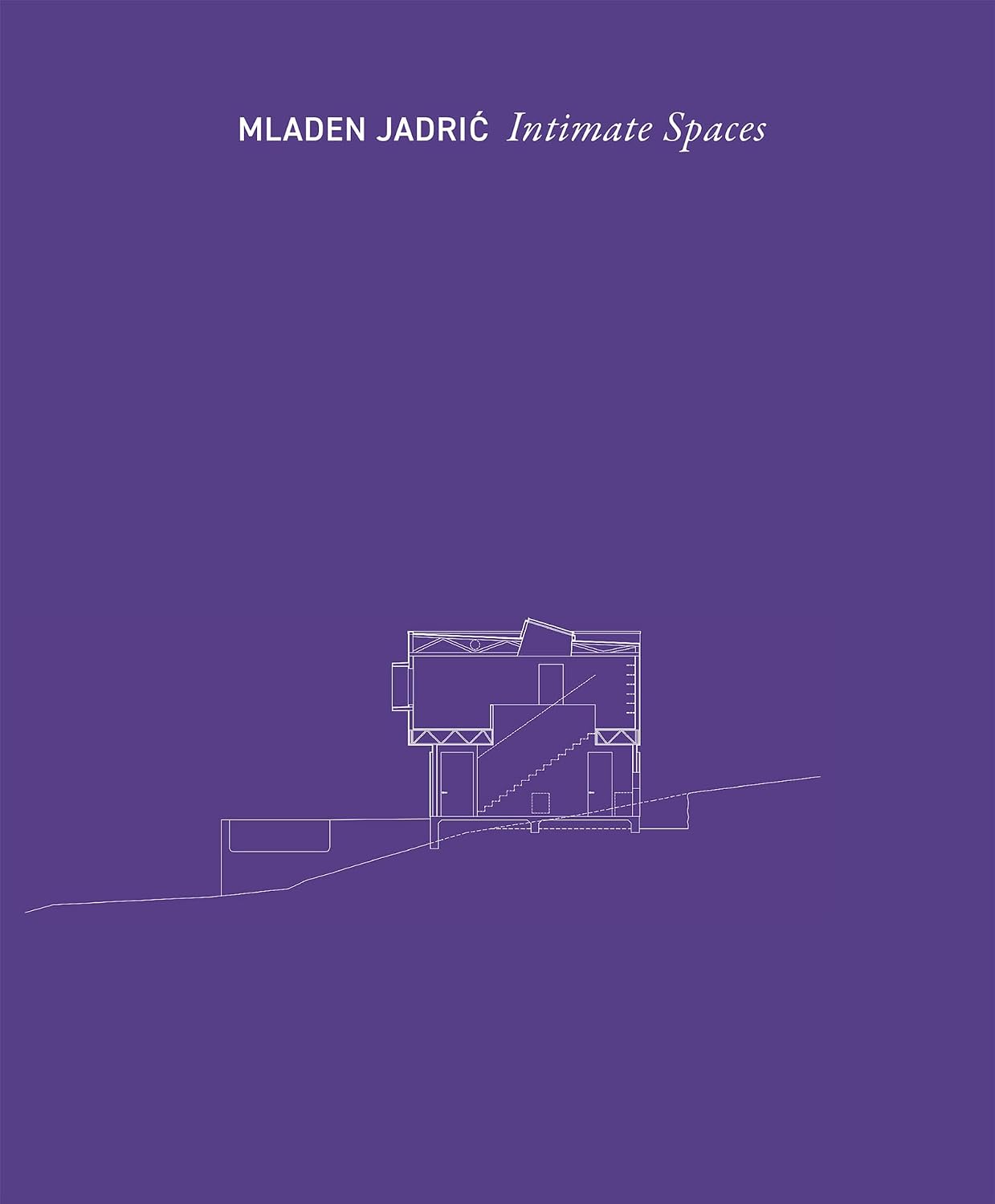 capítulo por capítulo baixar Intimate Spaces (English Edition)