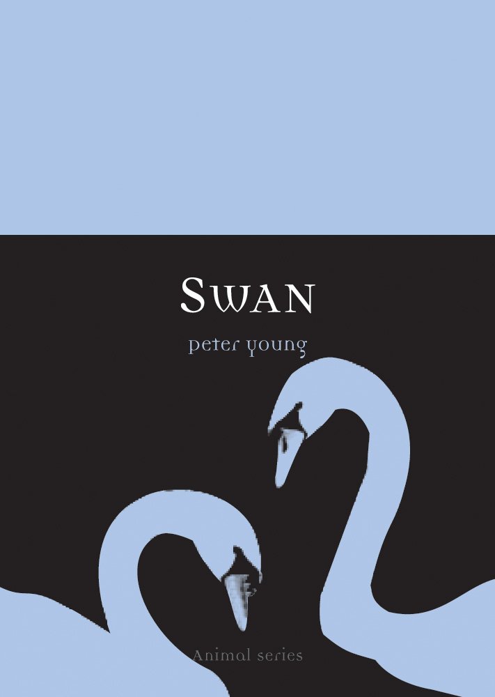 ler totalmente Swan (English Edition)