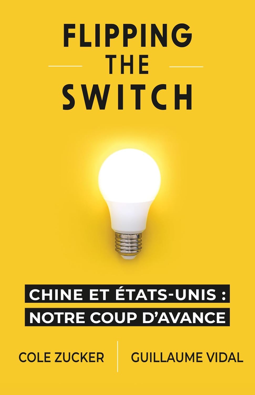 FLIPPING THE SWITCH: CHINE ET ÉTATS-UNIS: NOTRE COUP D’AVANCE (French Edition) baixar livro de graça