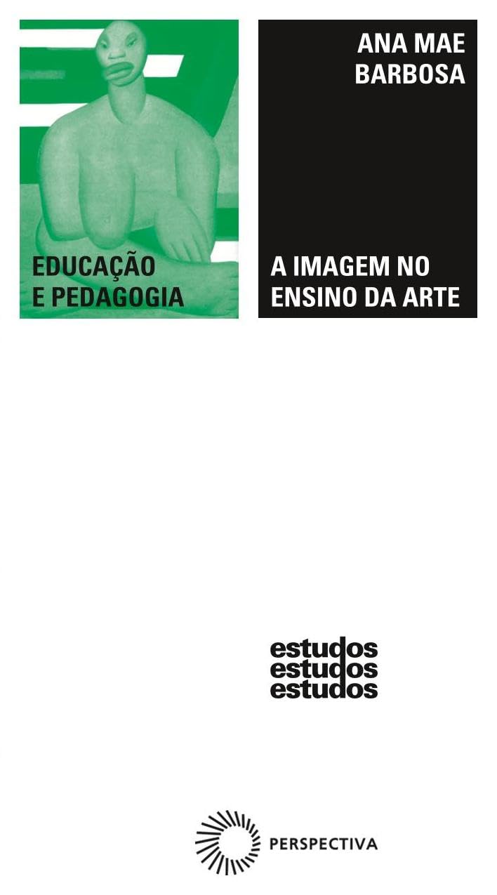 A imagem no ensino da arte
