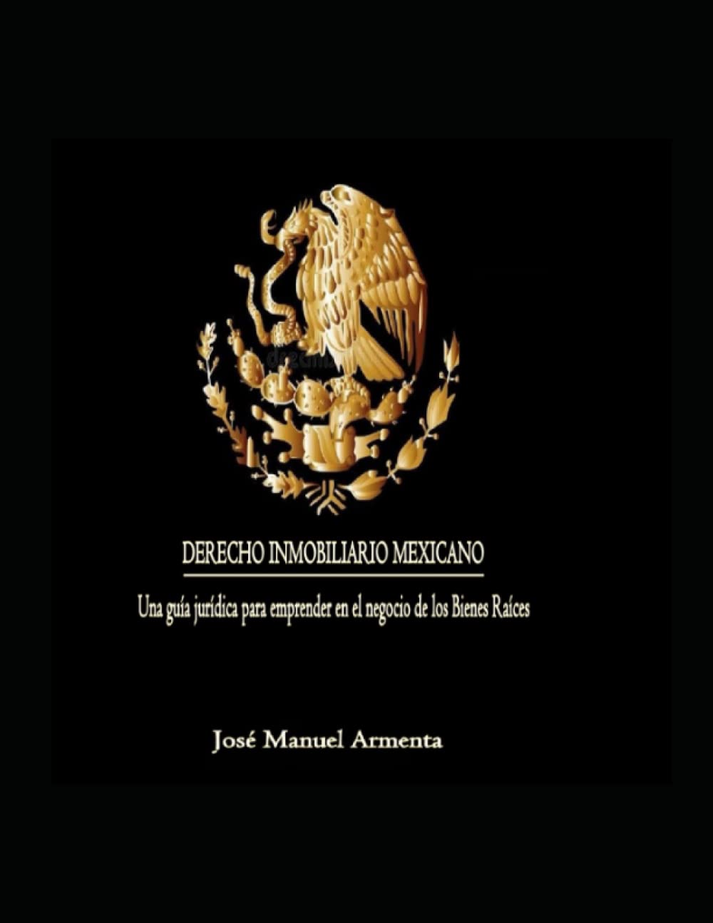 DERECHO INMOBILIARIO MEXICANO: Casos Reales, Soluciones Practicas. baixar livro de graça