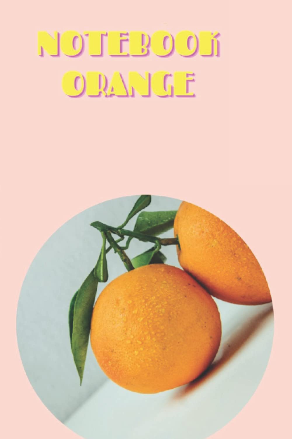 NOTEBOOK ORANGE: WIDE RULE, COLLEGE RULED baixar o livro de graça