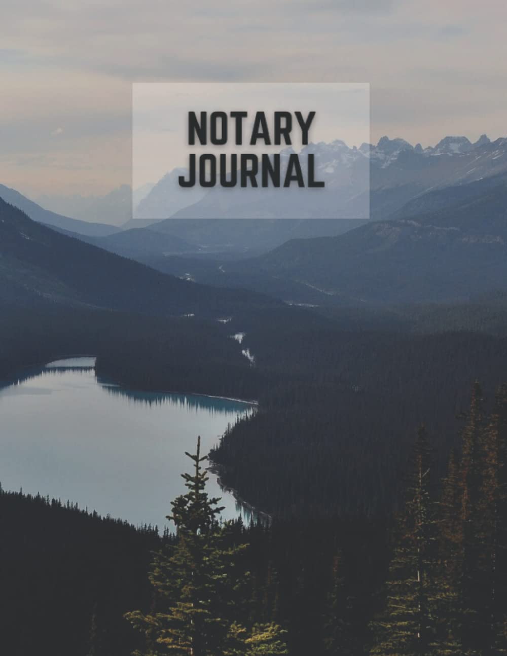 Notary Journal: record notarial acts,single-signing-view logbook, Cover 8.5''x 11'' baixar o livro de graça