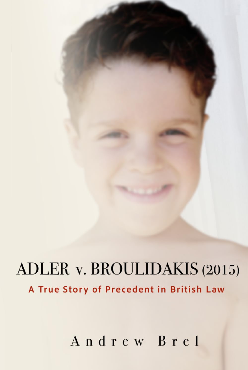 Adler v. Broulidakis (2015): A True Story of Precedent in British Law baixar o livro de graça