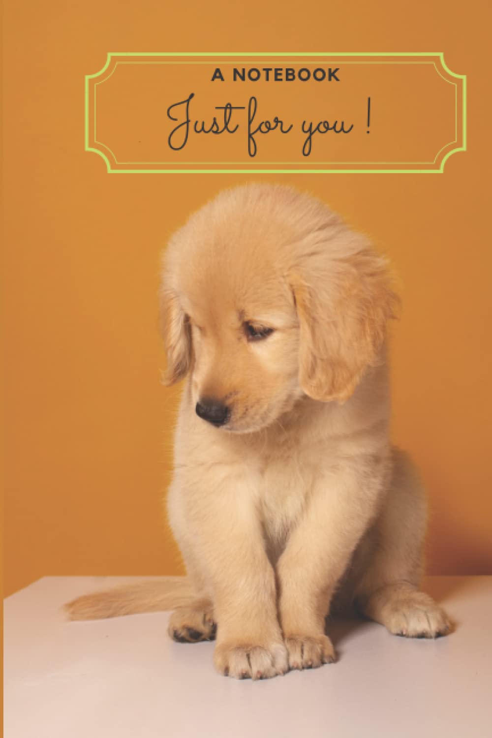 notebook for dog lover: golden retriever notebook: golden retriever,cute puppy,College Ruled;Notebook Workbook Journal for Students, Girls, Boys,... and More Gift; 6,26" x 9,25" 120 pages baixar livro de graça