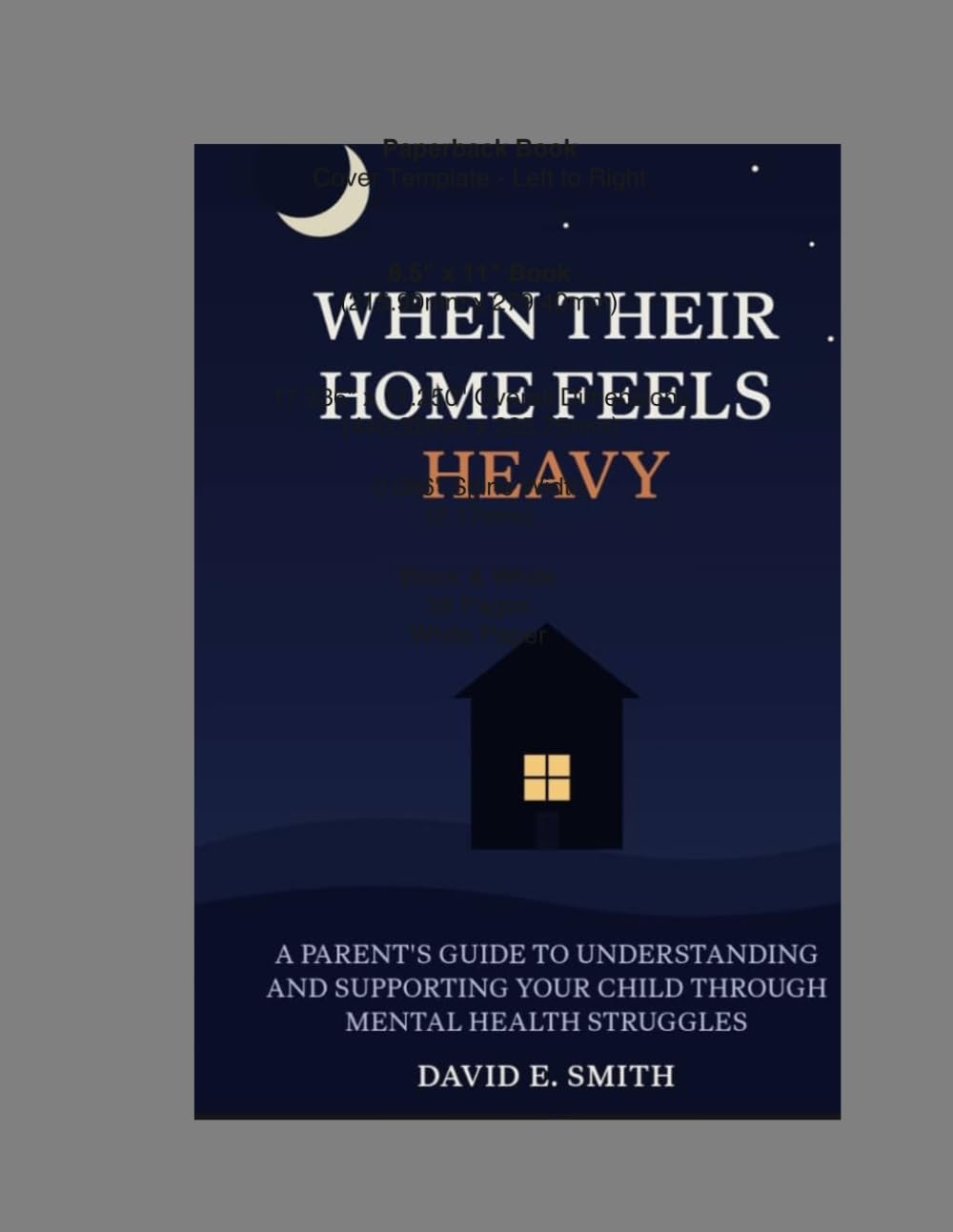 WHEN THEIR HOME FEELS TOO HEAVY: A PARENT'S GUIDE TO UNDERSTANDING AND SUPPORTING YOUR CHILD THROUGH MENTAL HEALTH STRUGGLES baixar livro de graça
