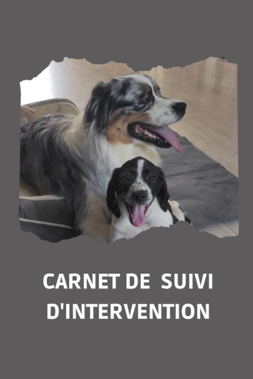 ler totalmente Carnet de suivi d'intervention 2023: Cahier daté du lundi au vendredi pour noter vos interventions techniques convient aux plombiers, aux électriciens, aux chauffagistes.... (French Edition)