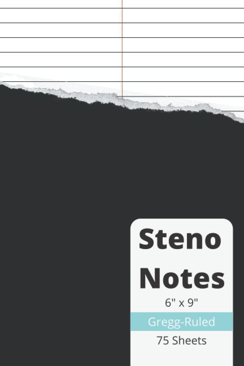 Steno Notebook 6x9, White Paper, Gregg Ruled, Classic Cover: For Note Taking, Everyday, Office, Bussiness, School baixar livro de graça