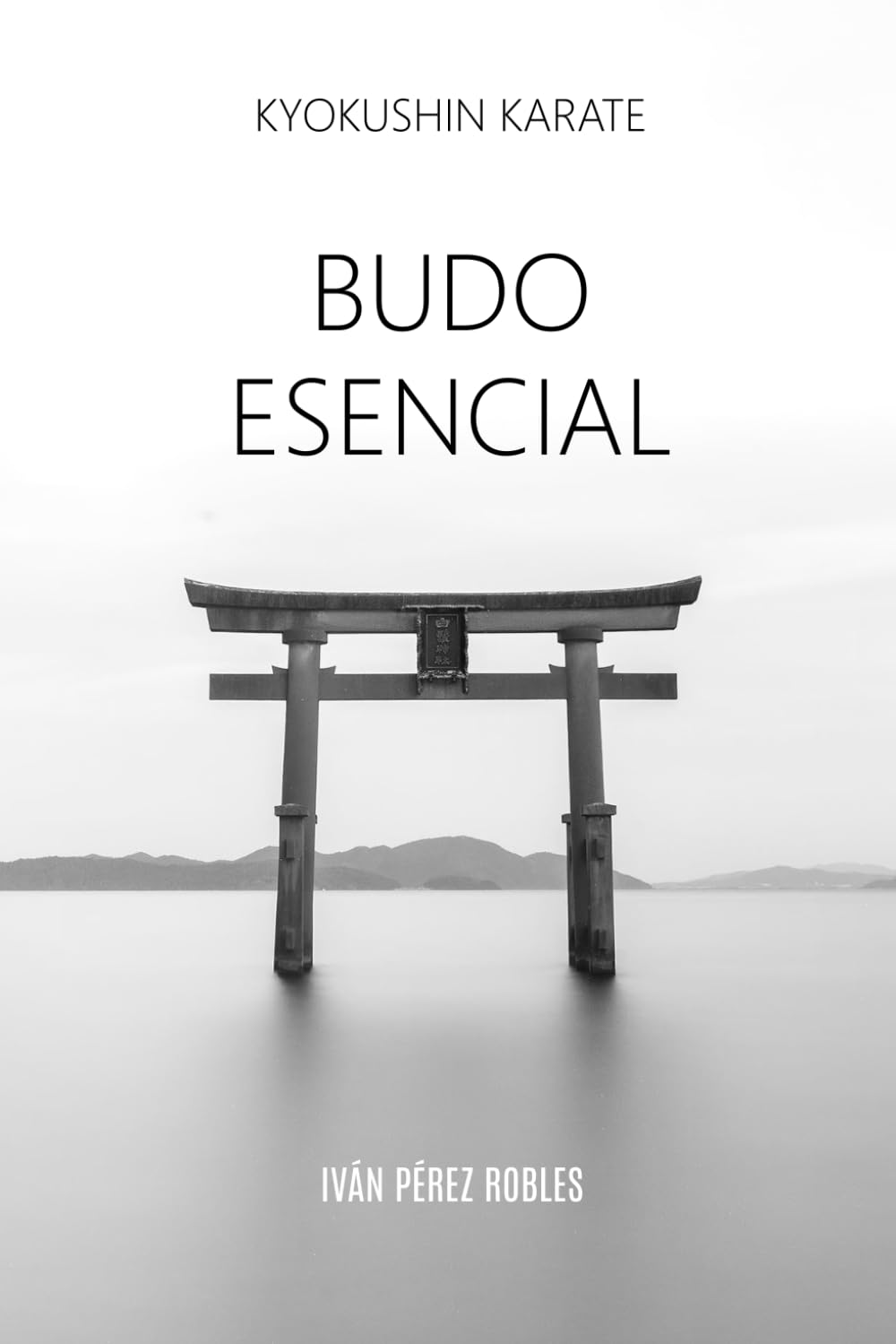 Kyokushin Karate: Budo Esencial: (NOIR EDITION) (Spanish Edition) baixar livro de graça