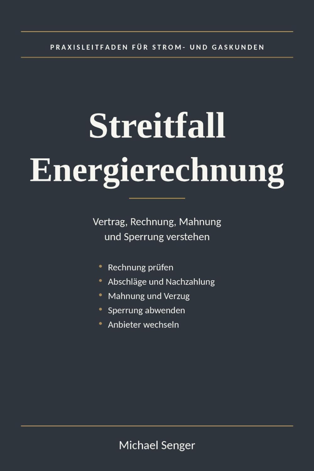 ler totalmente Streitfall Energierechnung: Praxiswissen zu Vertrag, Rechnung, Mahnung und Sperrung (German Edition)