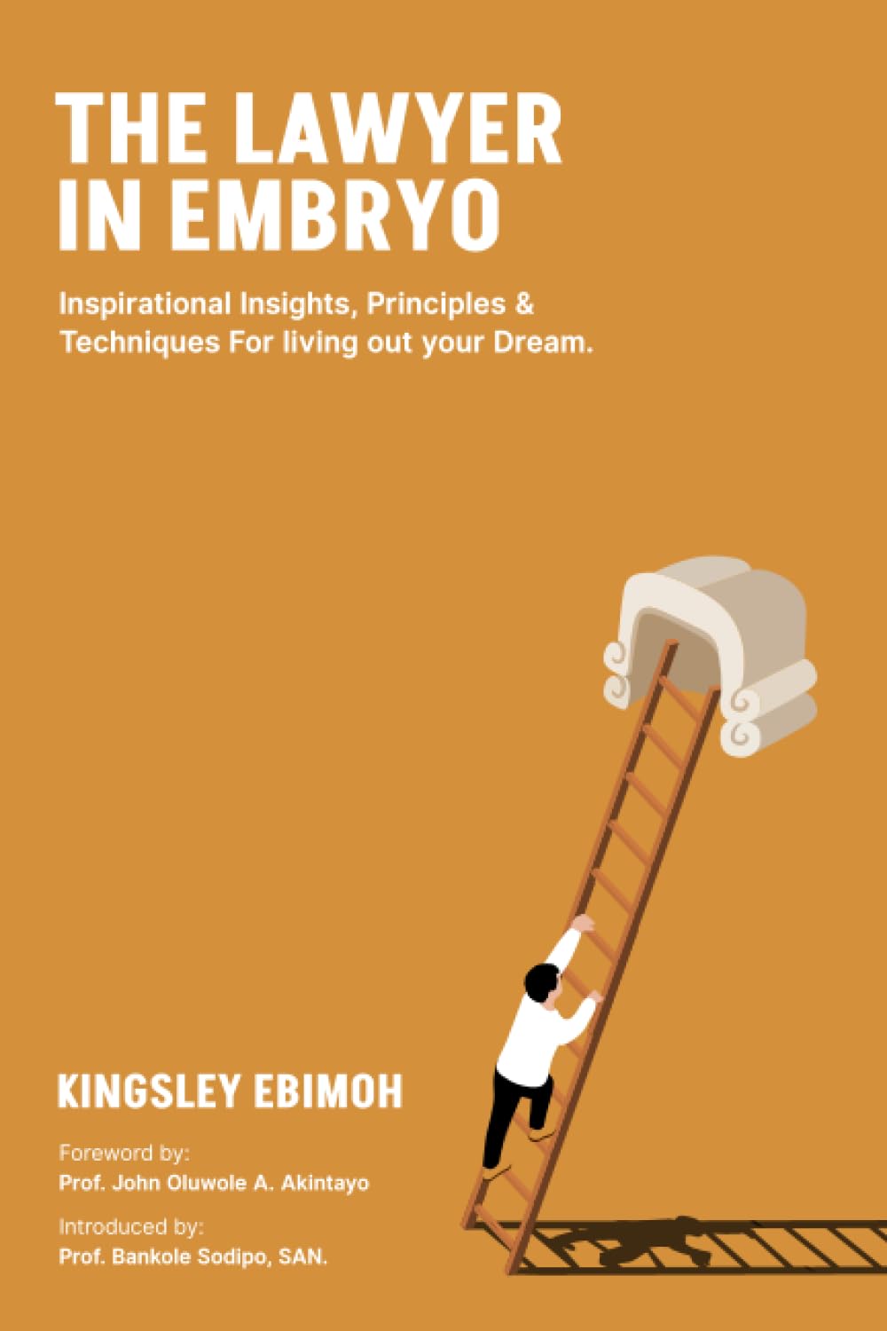 The Lawyer In Embryo: Inspirational Insights, Principles & Techniques For living out your Dream baixar o livro de graça